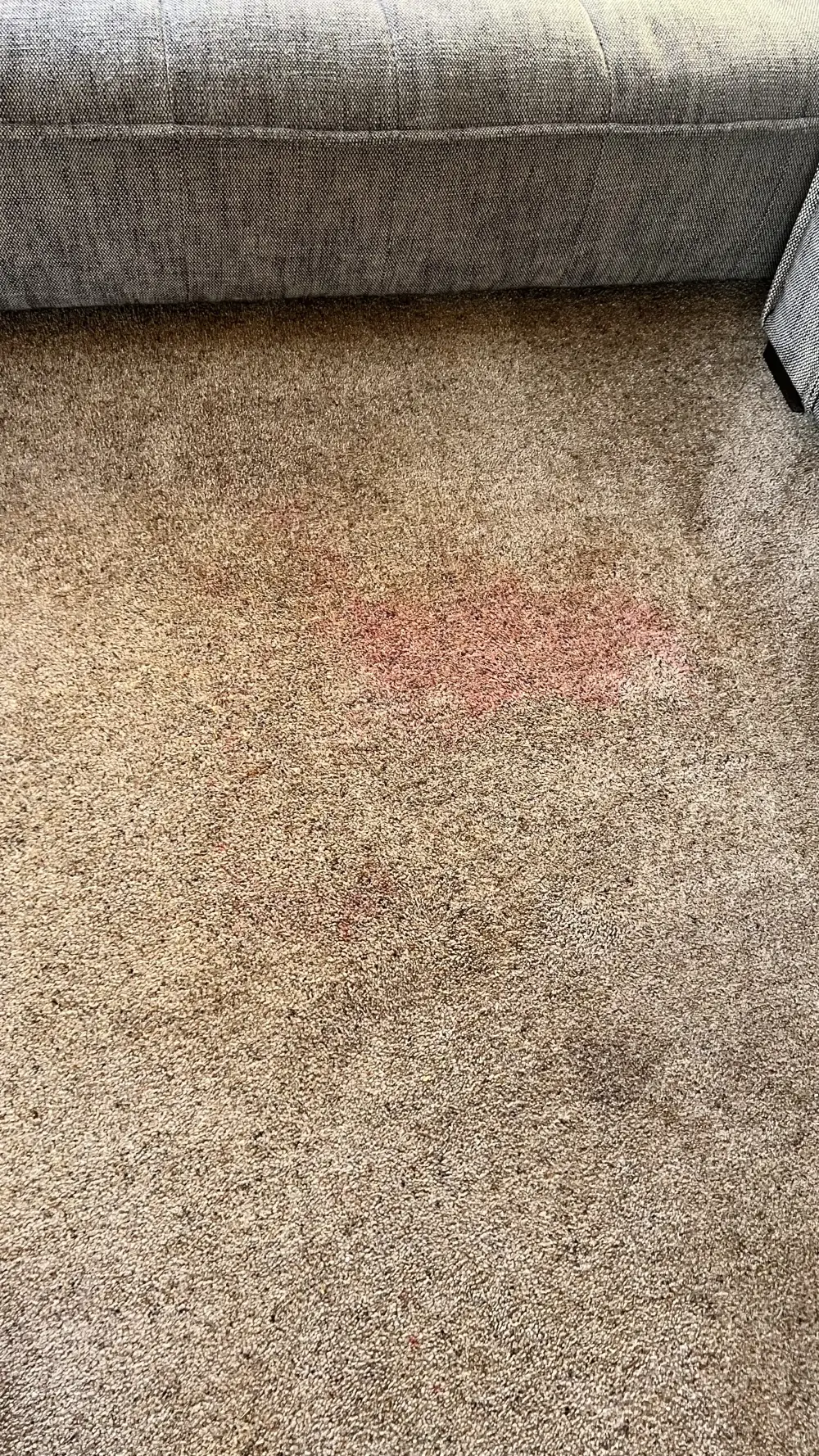 Visible mark on a carpet before stain treatment