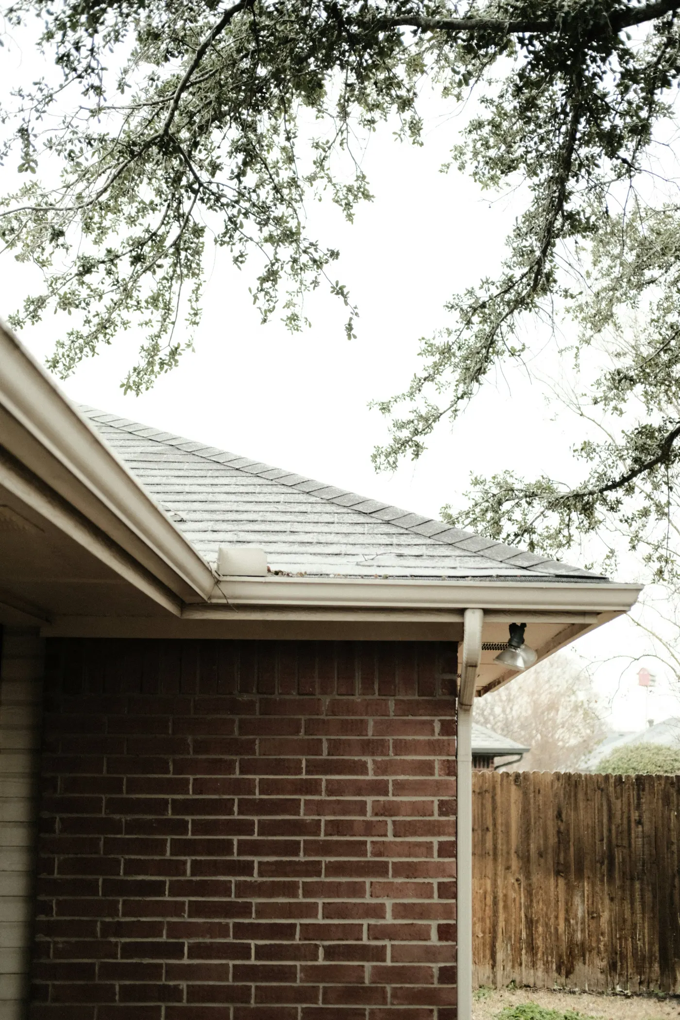 Residential roofline and guttering