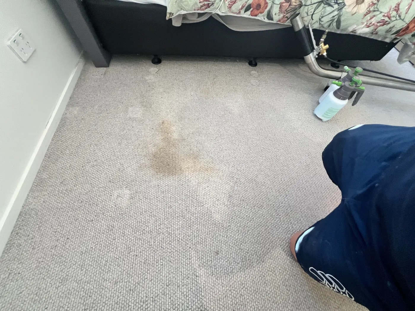 Technician working on a stained carpet area